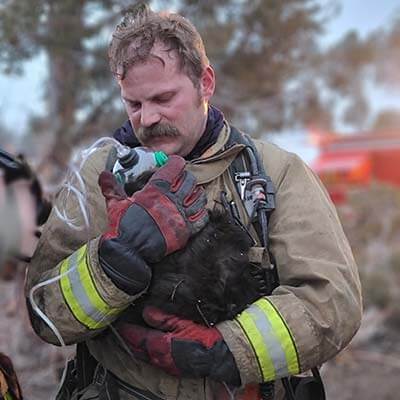 Firefighter saving a cat