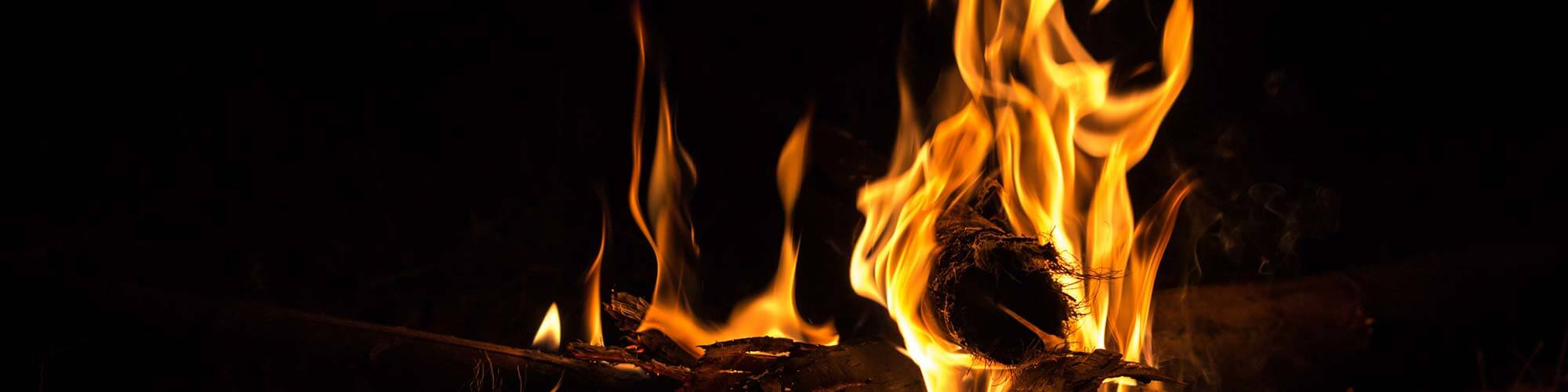 Fire burning log